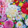 Blooming Marvellous - Image 6