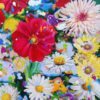 Blooming Marvellous - Image 2
